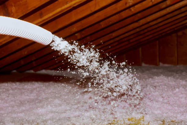 Best Commercial Insulation in Wrightsville, GA